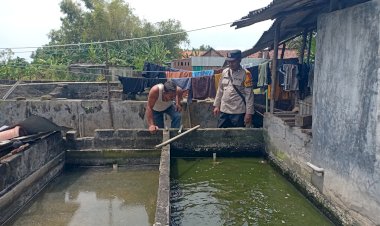 Warga-Wonocolo-Taman-Manfaatkan-Lahan-Kosong-Rumah-untuk-Budidaya-Lele