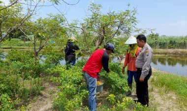Bhabinkamtibmas-Koordinasi-dengan-Warga-Terkait-Program-Pekarangan-Pangan-Bergizi-di-Desa-Permisan