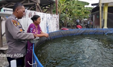 Budidaya-Ikan-Lele-di-Karangbong-Tunjukkan-Hasil-Positif,-Dukung-Program-Ketahanan-Pangan-Nasional