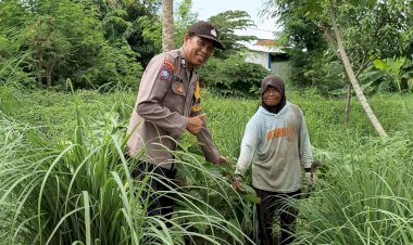 Bhabinkamtibmas-Desa-Sadang-Dukung-Ketahanan-Pangan-Polresta-Sidoarjo,-Bantu-Petani-Serai-dan-Jeruk