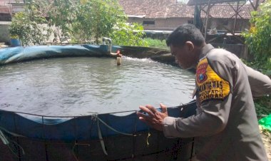 Polsek-Tulangan-Dampingi-Budidaya-Lele-di-Pekarangan