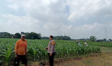 Implementasi-Ketahanan-Pangan,-Polsek-Tarik-Gencarkan-Sambang-Desa