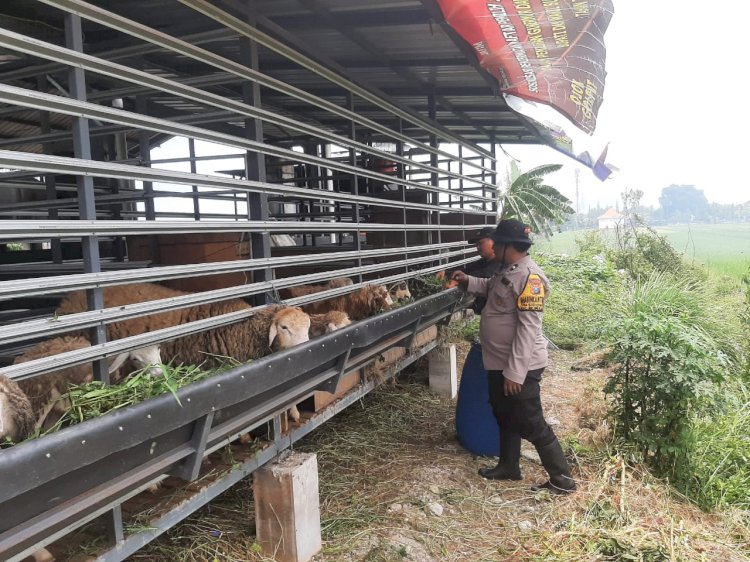 Bhabinkamtibmas Sidomojo Ajak Warga Maksimalkan Perawatan Ternak Kambing Demi Dukung Ketahanan Pangan
