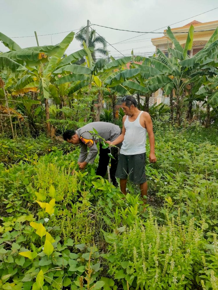 POLRESTA SIDOARJO | Solid untuk Ketahanan Pangan, Polisi di Gedangan Bersama Petani Kembangkan Pekarangan Bergizi
