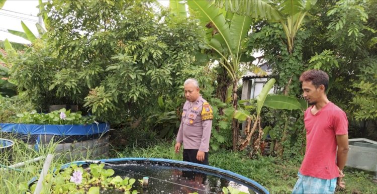 Topang Ketahanan Pangan, Bhabinkamtibmas Apresiasi Budidaya Ikan Gurami di Kedungpeluk