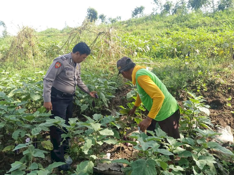 Bhabinkamtibmas Desa Permisan Tinjau Lahan Ketahanan Pangan, Dorong Warga Manfaatkan Pekarangan untuk Sayuran