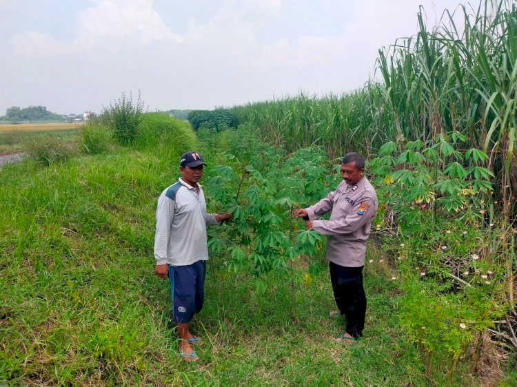 Polisi Ajak Warga Gagang Kepuhsari Balongbendo Kelola Lahan Kosong di Tanami Sayuran